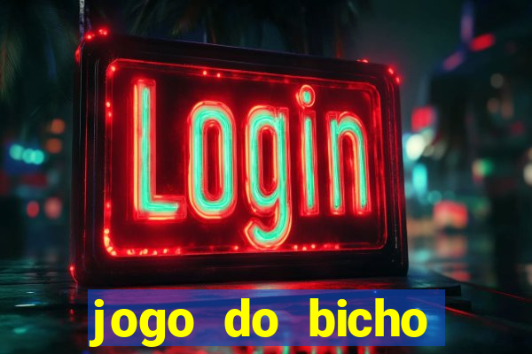 jogo do bicho crash bingo